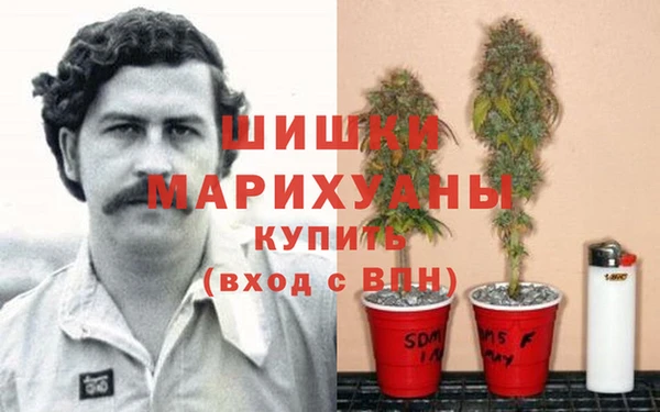 прущие крисы Пересвет