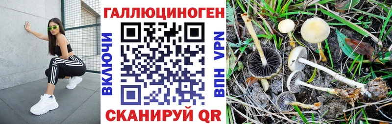 Галлюциногенные грибы Cubensis  наркота  Вятские Поляны 